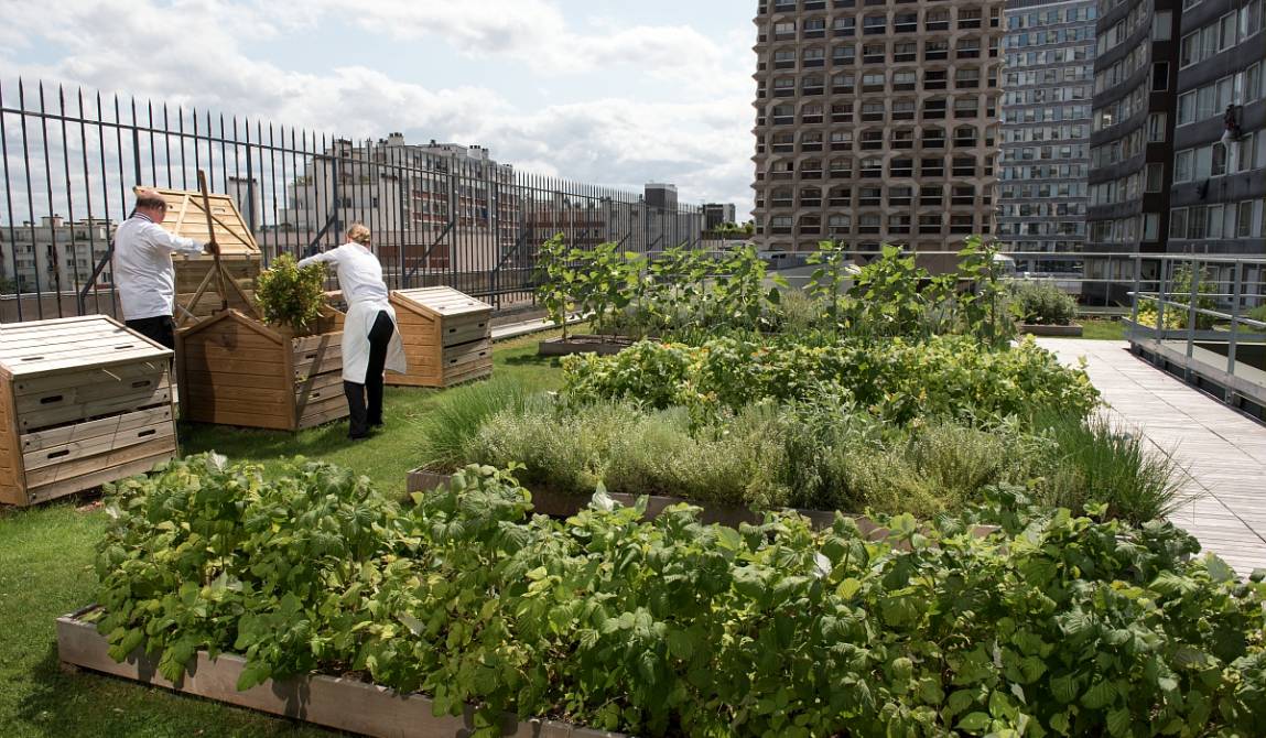 agriculture urbaine